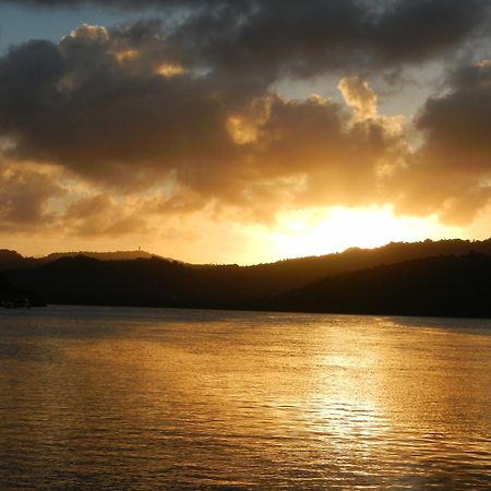 Cozy T2 Calme Au Coeur De La Nature لا ترينيت المظهر الخارجي الصورة