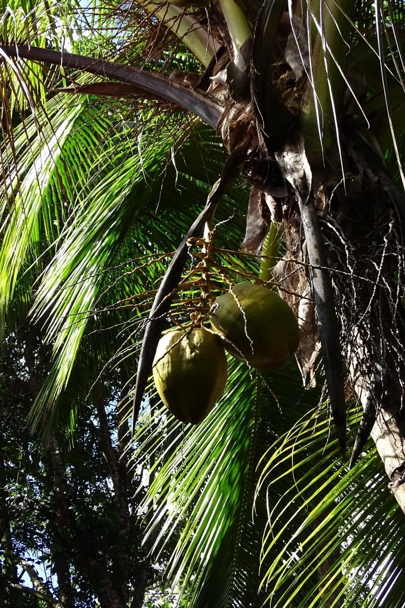 Cozy T2 Calme Au Coeur De La Nature لا ترينيت المظهر الخارجي الصورة